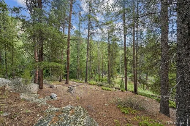 001 Fall River Road Idaho Springs, CO 80452