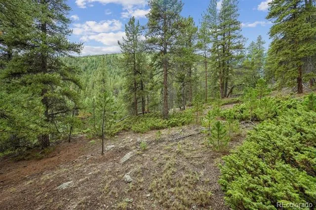 001 Fall River Road Idaho Springs, CO 80452