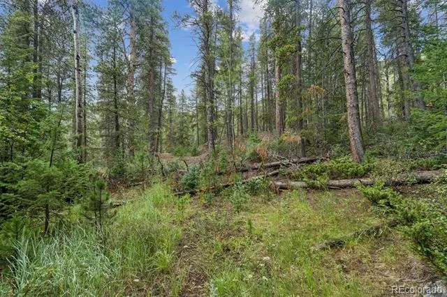 001 Fall River Road Idaho Springs, CO 80452