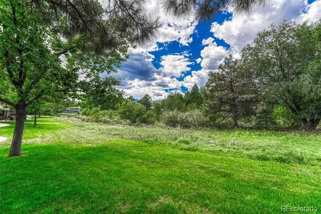 6516 Foxdale Circle Colorado Springs, CO 80919