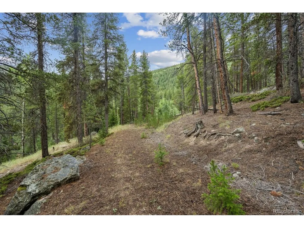 1 Fall River Road Idaho Springs, CO 80452