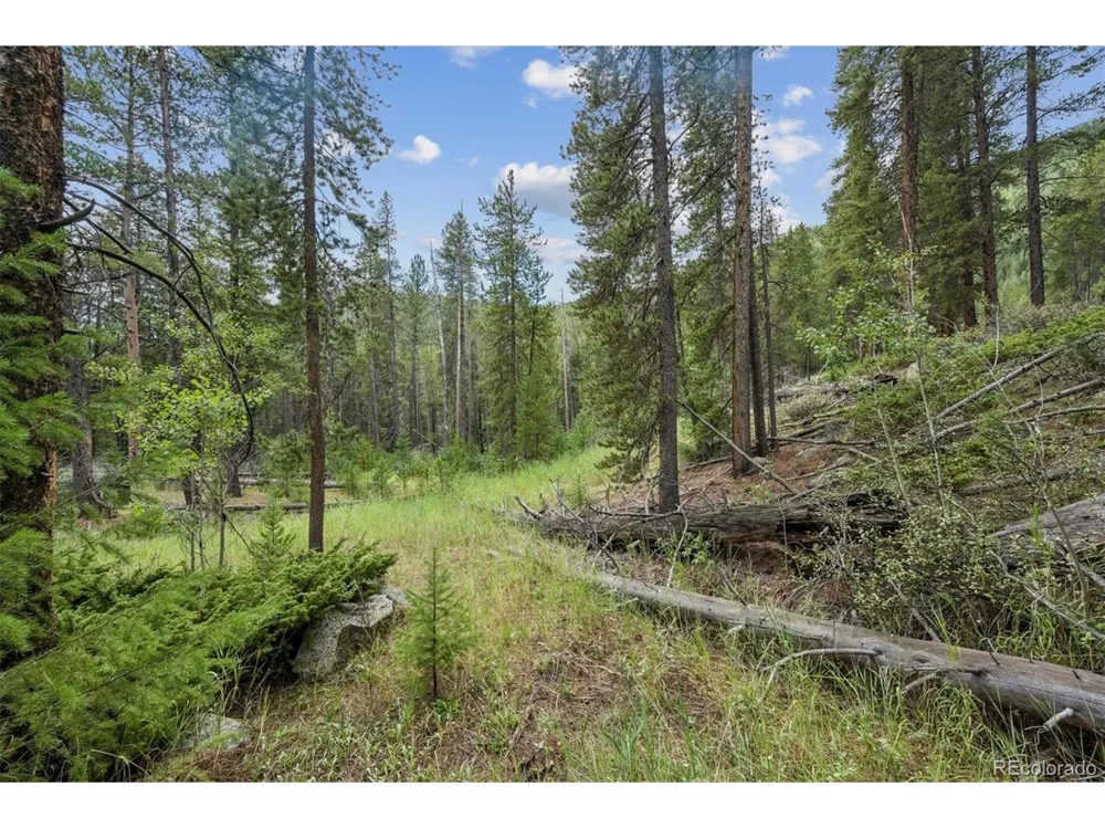 1 Fall River Road Idaho Springs, CO 80452