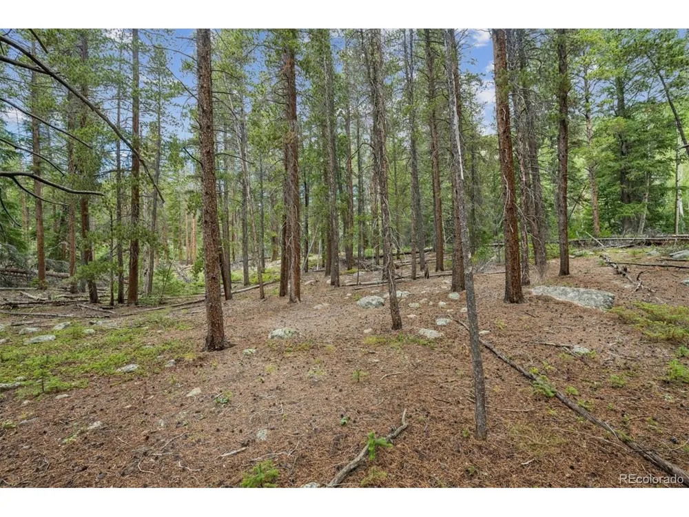 1 Fall River Road Idaho Springs, CO 80452