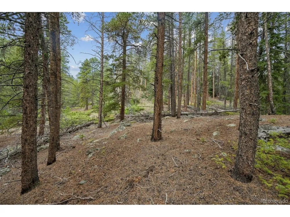 1 Fall River Road Idaho Springs, CO 80452
