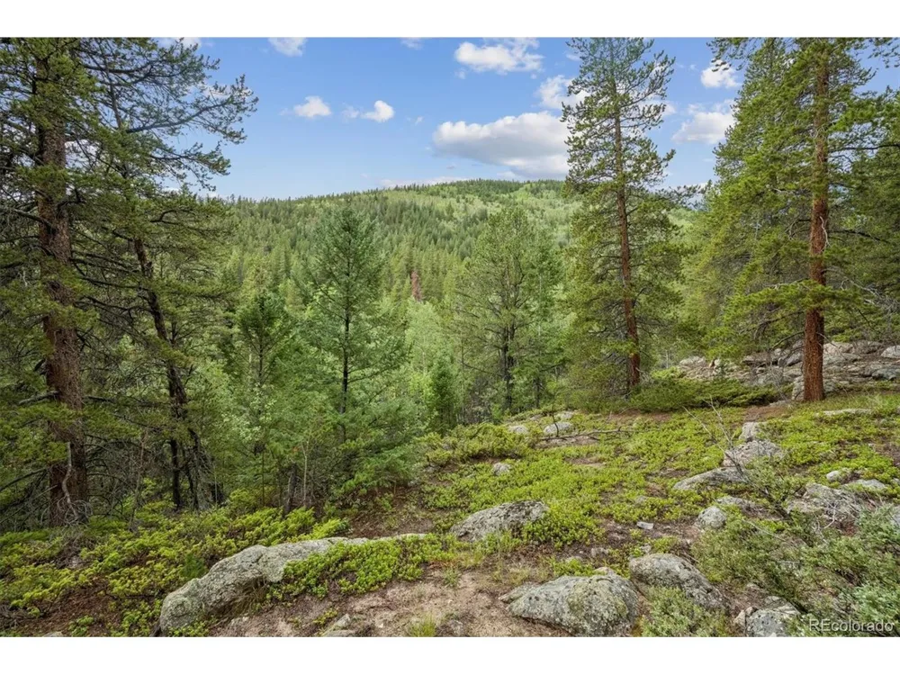 1 Fall River Road Idaho Springs, CO 80452