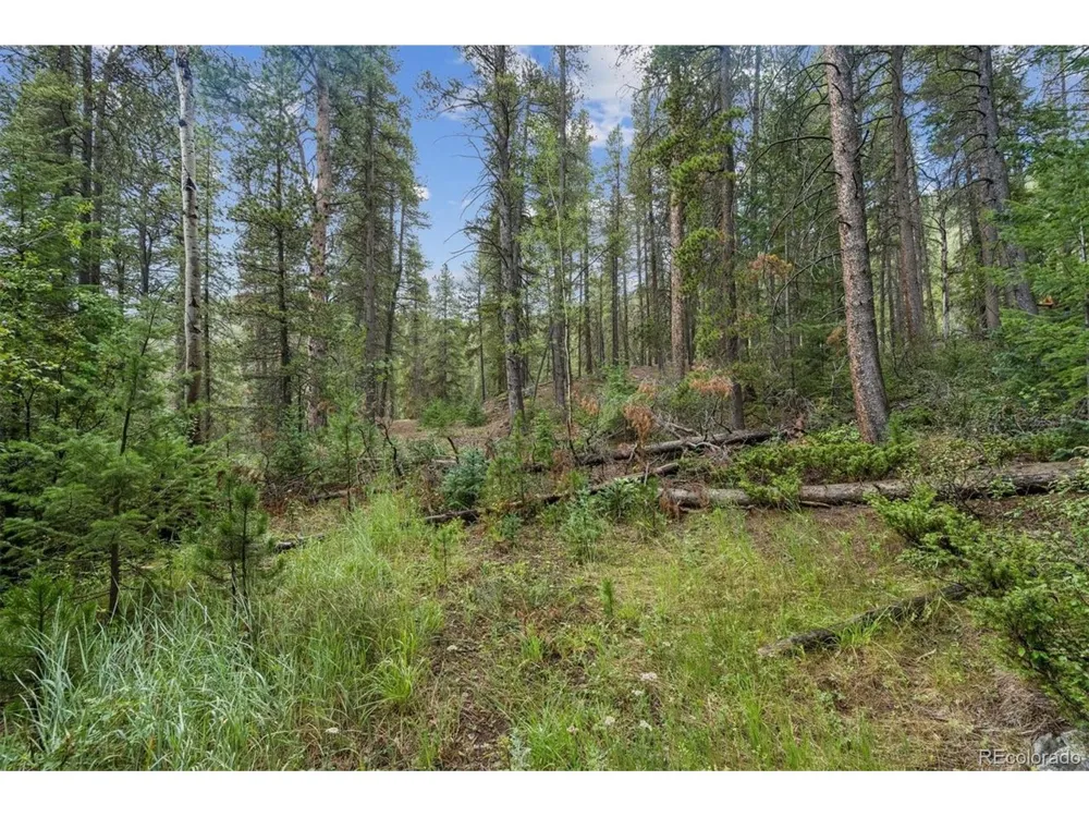 1 Fall River Road Idaho Springs, CO 80452