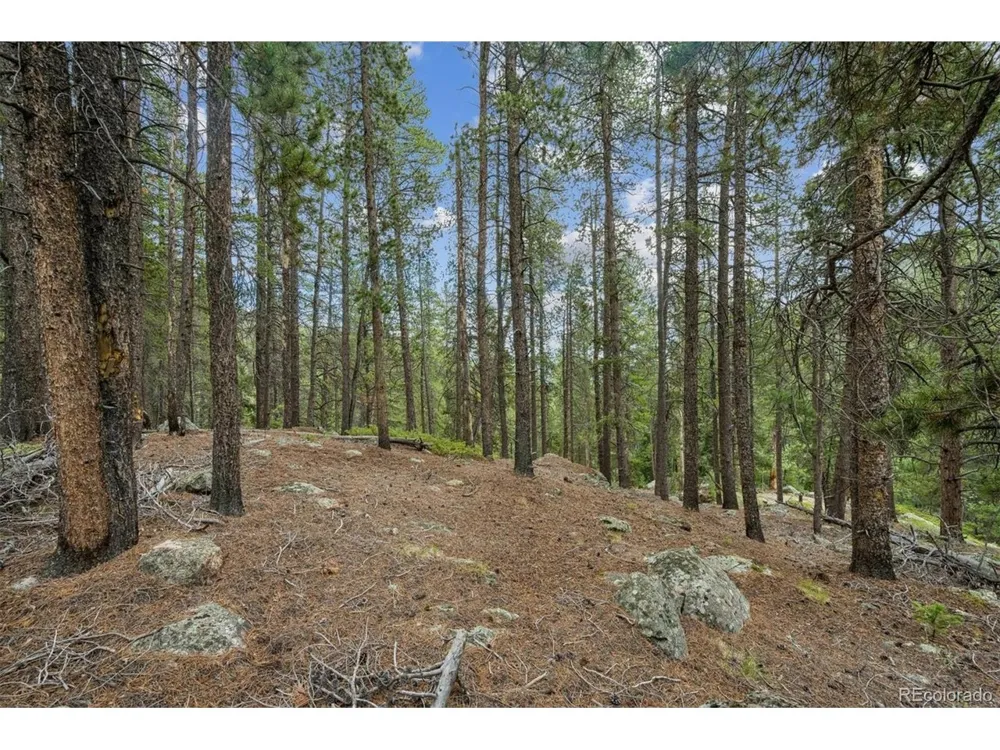 1 Fall River Road Idaho Springs, CO 80452