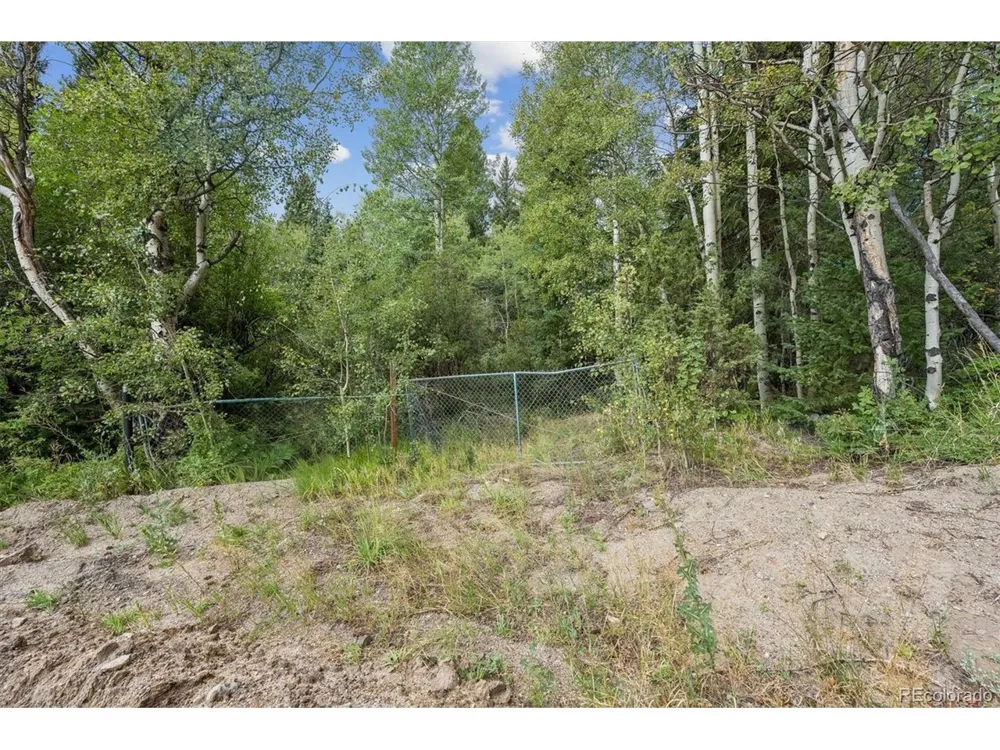 1 Fall River Road Idaho Springs, CO 80452