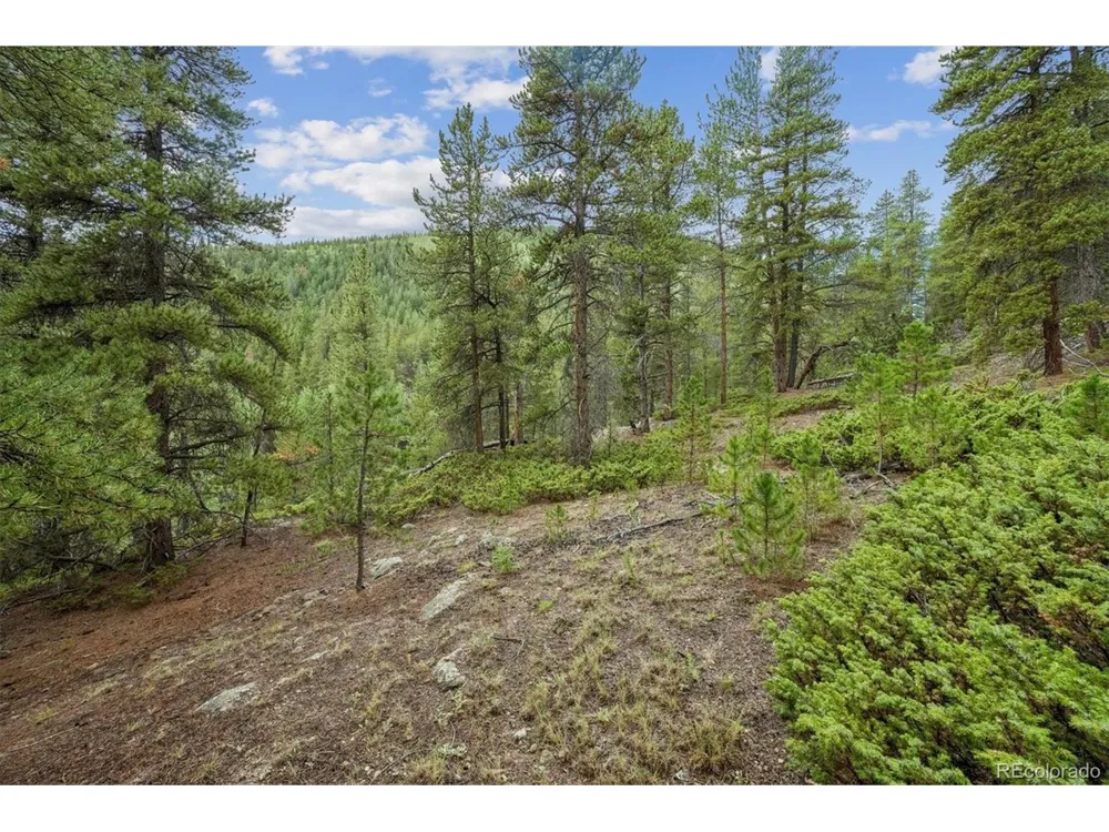 1 Fall River Road Idaho Springs, CO 80452