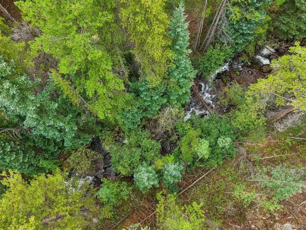 1 Fall River Road Idaho Springs, CO 80452