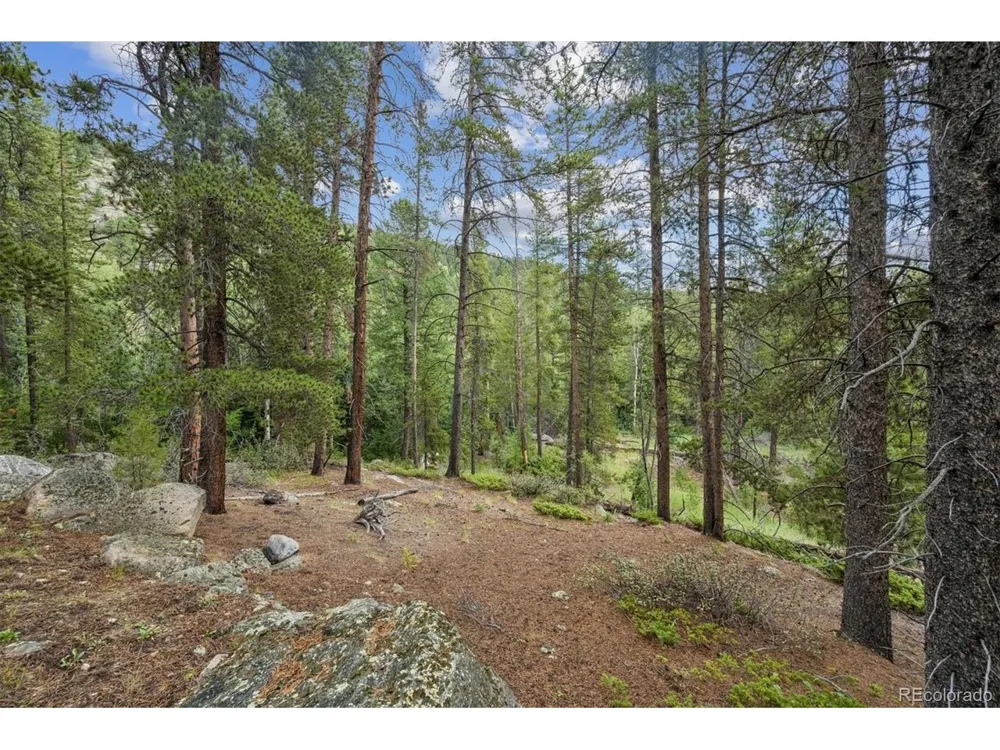 1 Fall River Road Idaho Springs, CO 80452