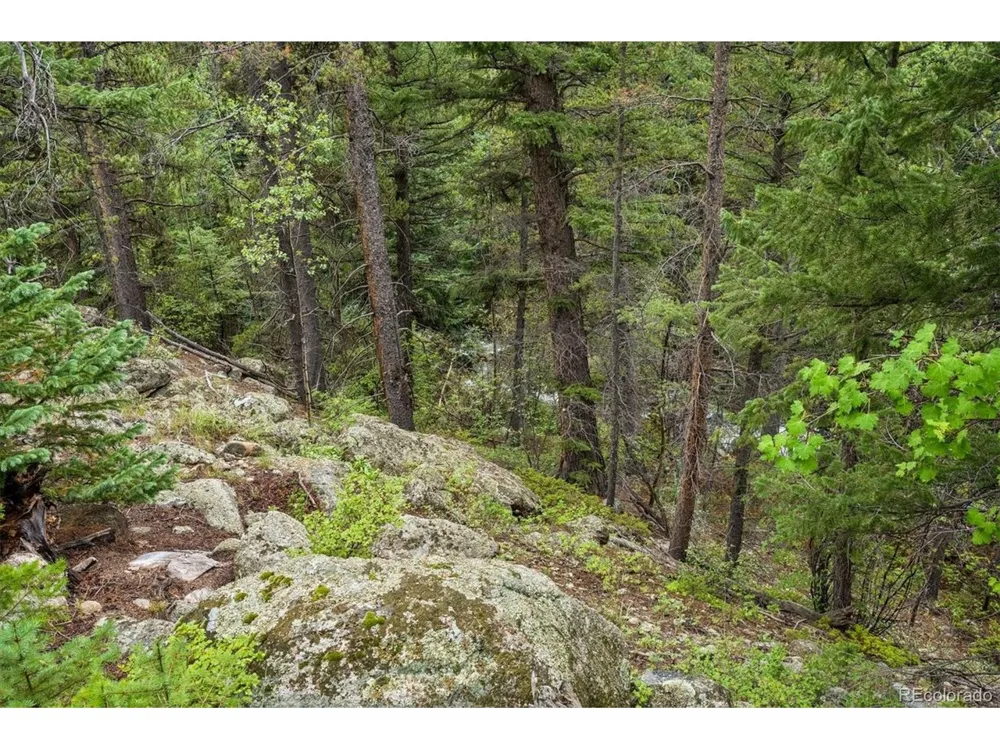 1 Fall River Road Idaho Springs, CO 80452