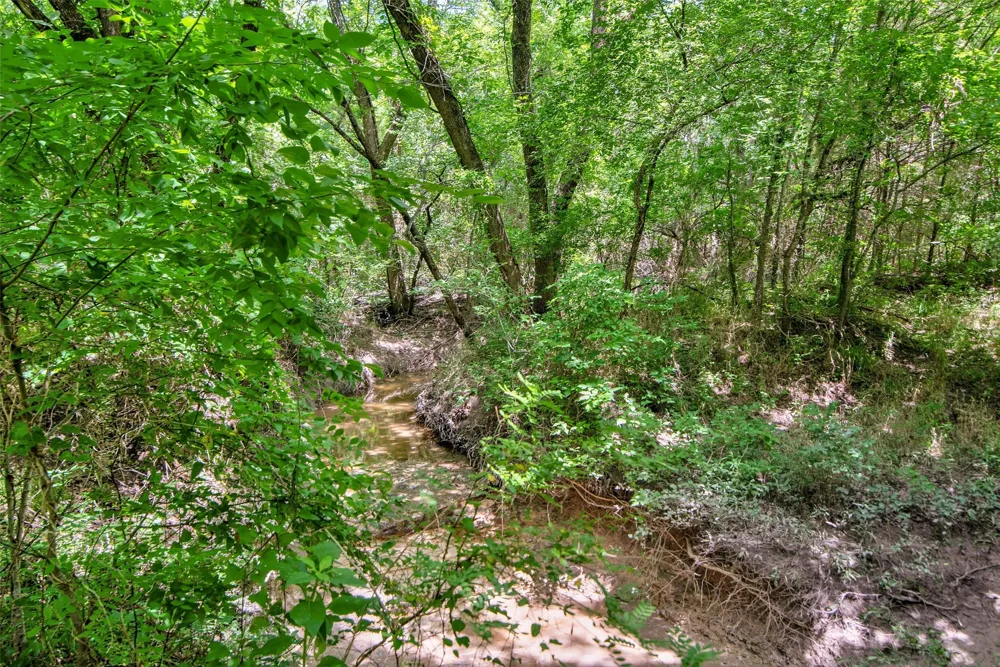 8081 County Road 500 Blue Ridge, TX 75424