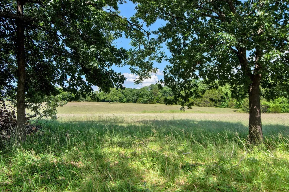 8081 County Road 500 Blue Ridge, TX 75424
