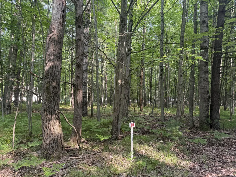 6804 Maple Court Stanwood, MI 49346