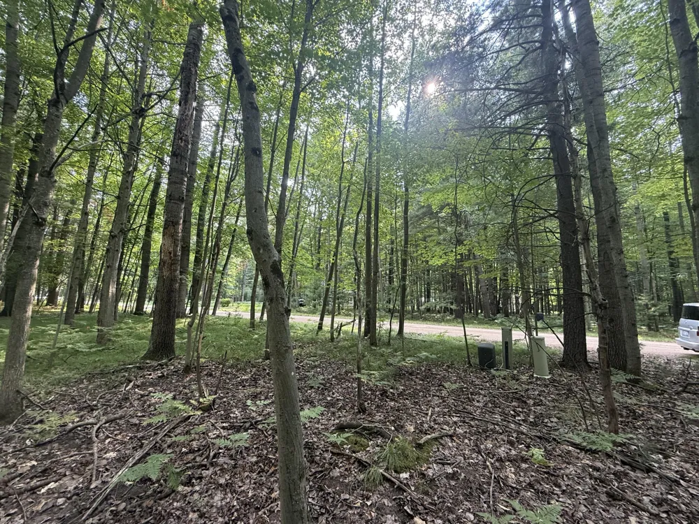 6804 Maple Court Stanwood, MI 49346