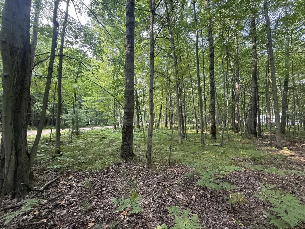 6804 Maple Court Stanwood, MI 49346