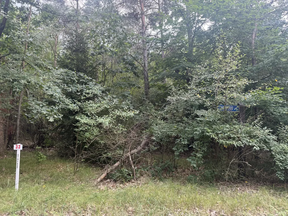 10181 Sherwood Circle ##33 Stanwood, MI 49346