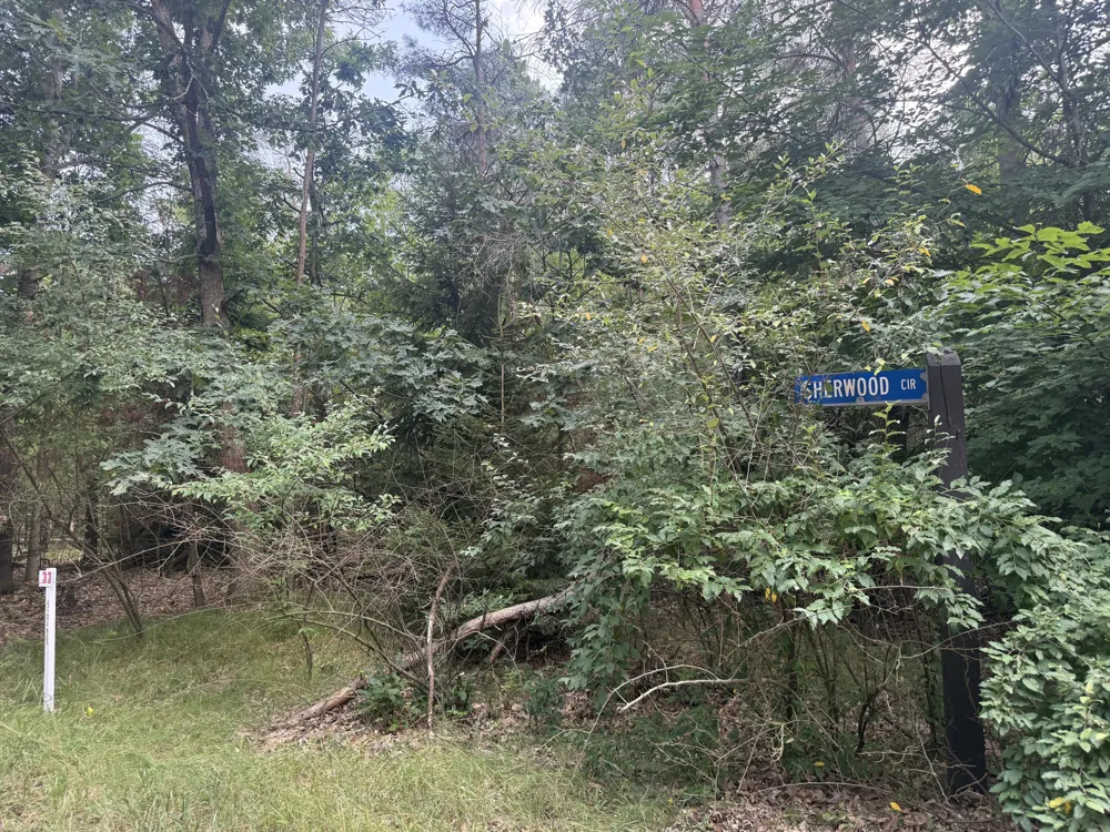 10181 Sherwood Circle ##33 Stanwood, MI 49346