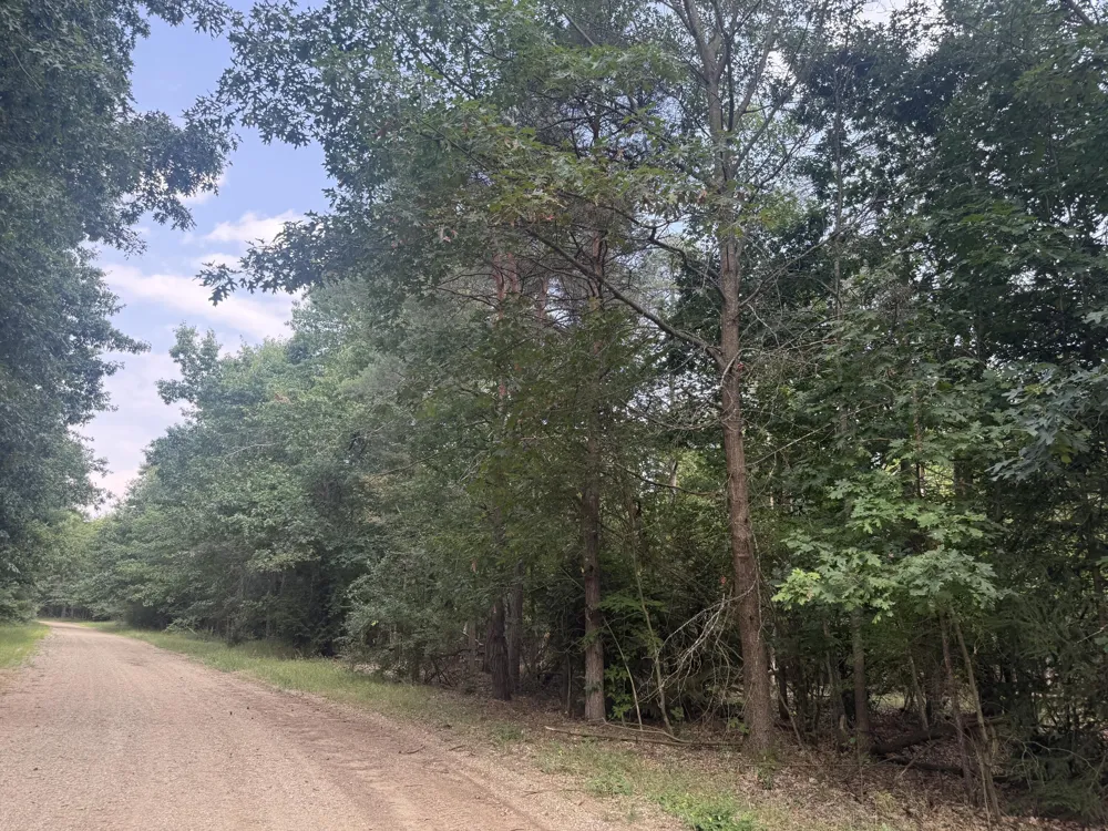 10181 Sherwood Circle ##33 Stanwood, MI 49346
