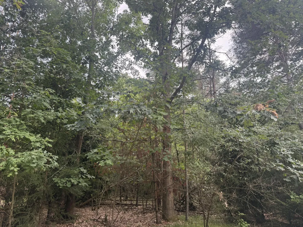 10181 Sherwood Circle ##33 Stanwood, MI 49346