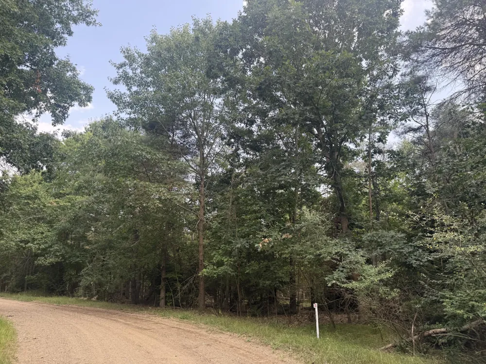 10181 Sherwood Circle ##33 Stanwood, MI 49346