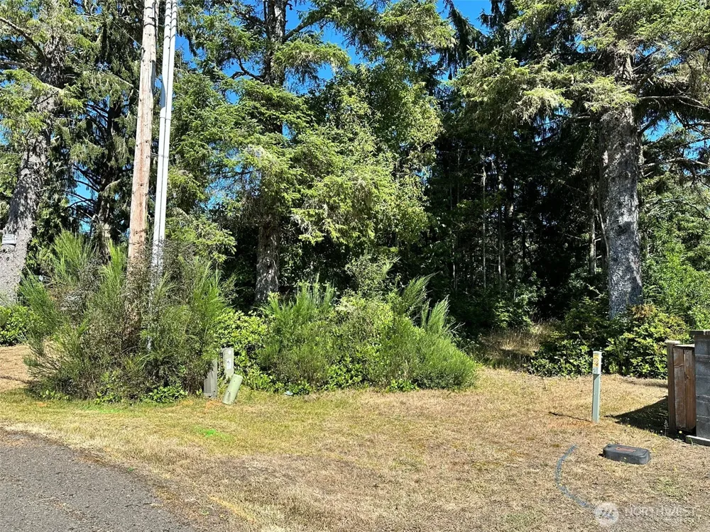 816 Scaup Court SE Ocean Shores, WA 98569