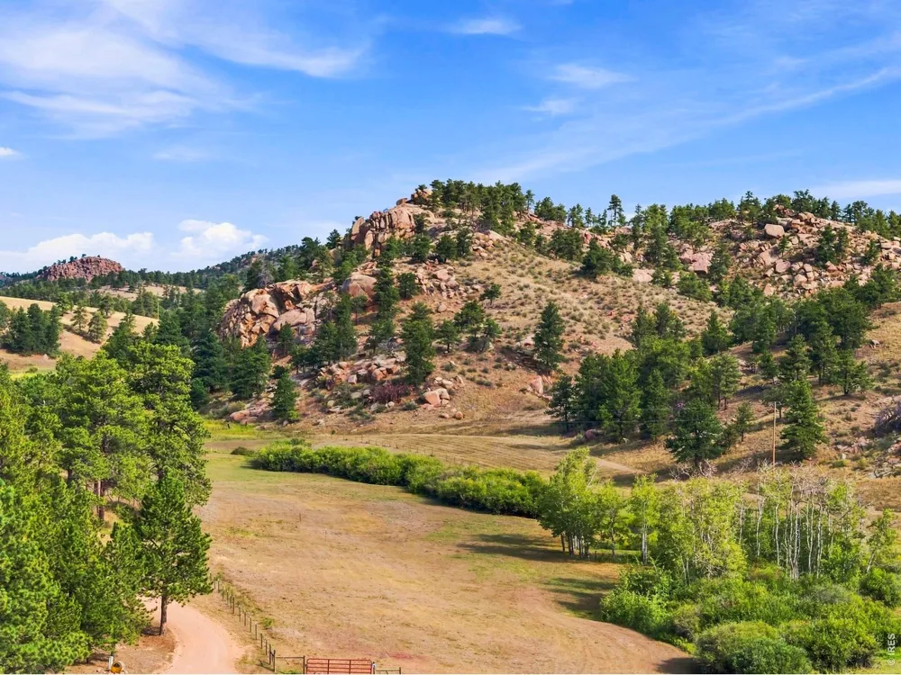 557 Red Bluff Road Livermore, CO 80536