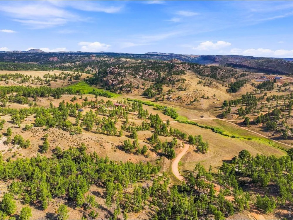 557 Red Bluff Road Livermore, CO 80536