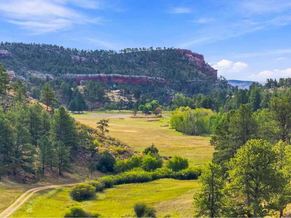 557 Red Bluff Road Livermore, CO 80536