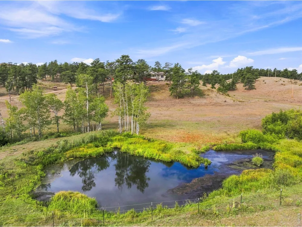 557 Red Bluff Road Livermore, CO 80536