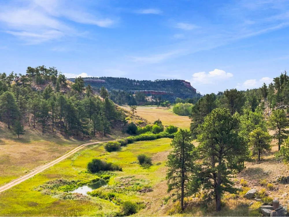 557 Red Bluff Road Livermore, CO 80536