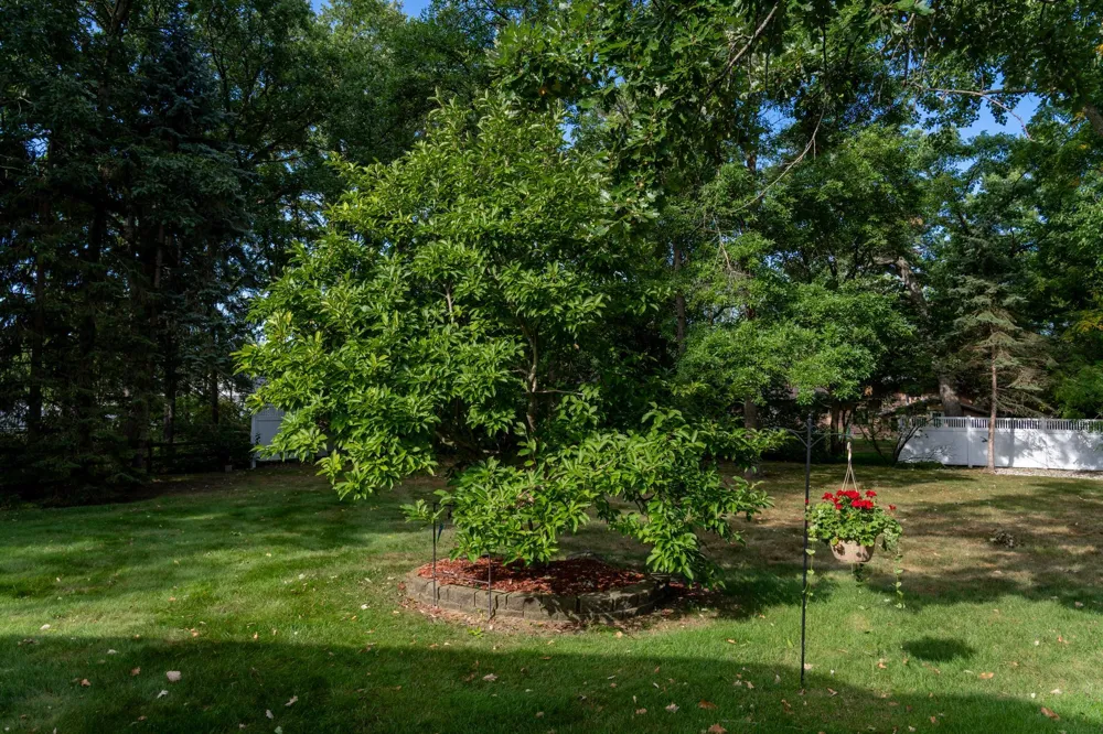 613 Kane Street Mt Pleasant City, MI 48858