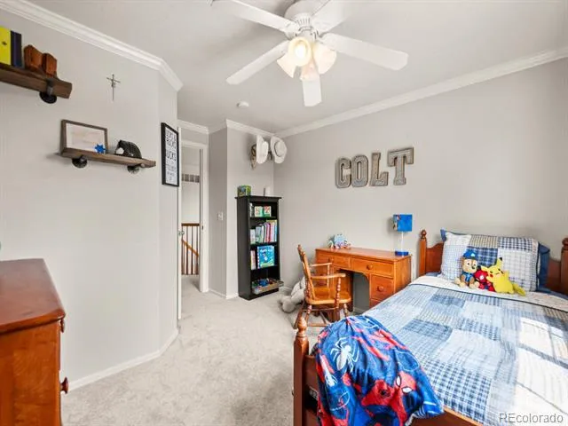 4833 Eckert Street Castle Rock, CO 80104