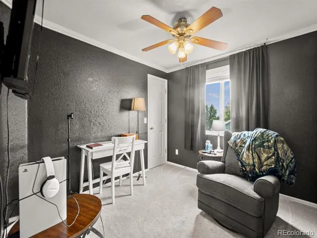 4833 Eckert Street Castle Rock, CO 80104