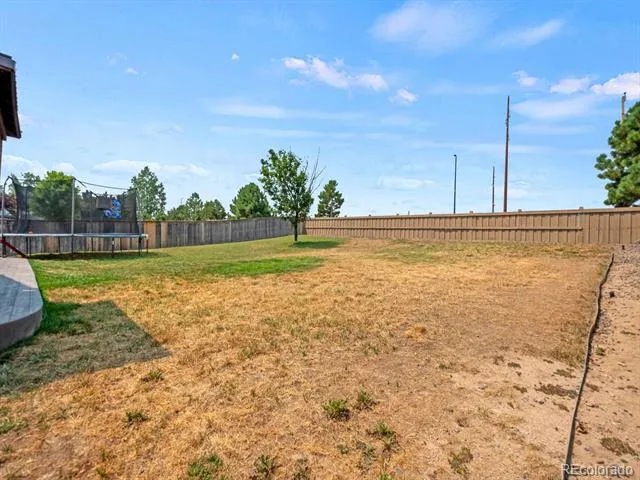 4833 Eckert Street Castle Rock, CO 80104