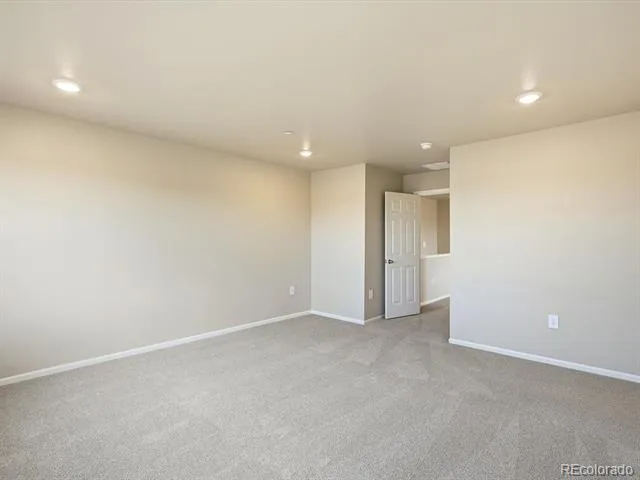 1596 Riverplace Drive #1 Windsor, CO 80550