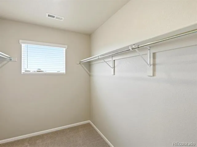 1596 Riverplace Drive #1 Windsor, CO 80550