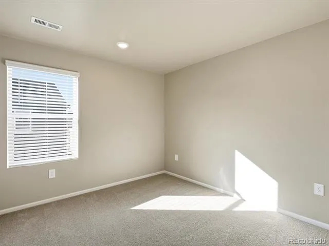 1596 Riverplace Drive #1 Windsor, CO 80550