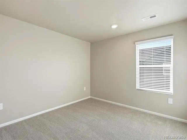 1596 Riverplace Drive #1 Windsor, CO 80550