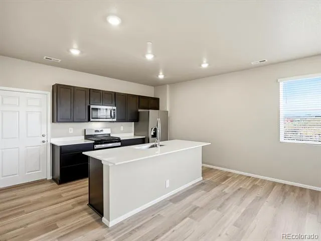 1596 Riverplace Drive #1 Windsor, CO 80550
