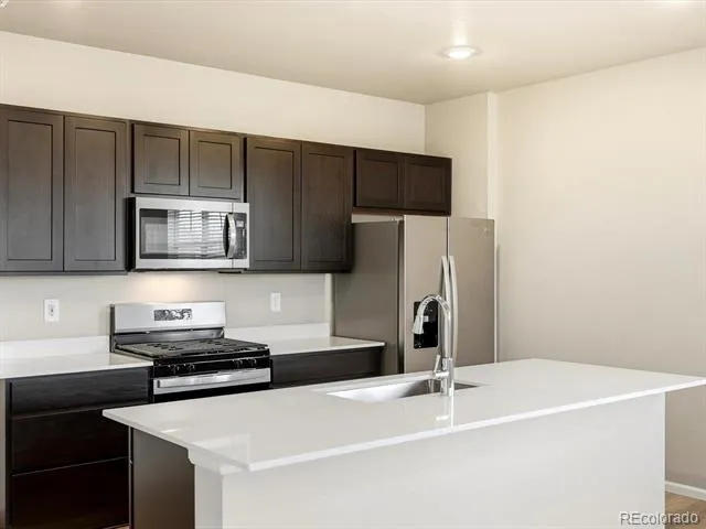 1596 Riverplace Drive #1 Windsor, CO 80550