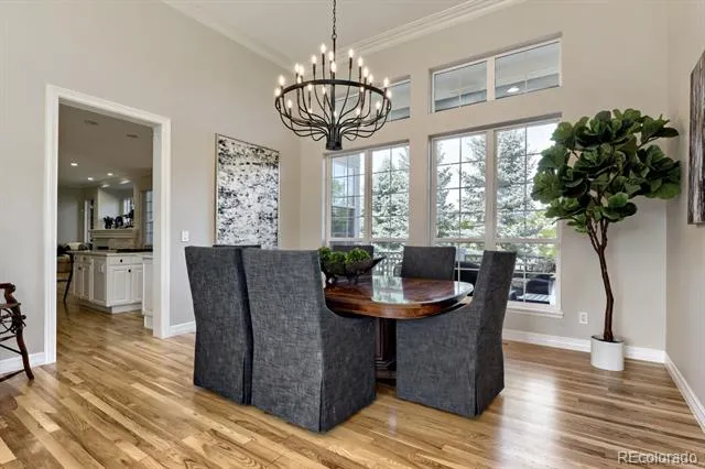 9368 S Silent Hills Drive Lone Tree, CO 80124