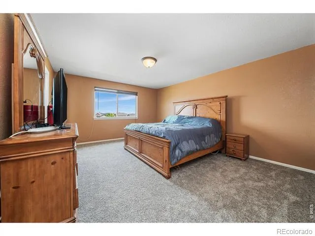 1520 Murrlet Street Berthoud, CO 80513
