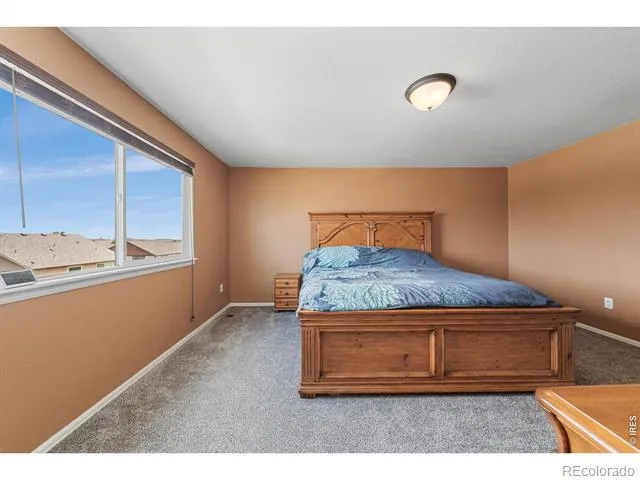 1520 Murrlet Street Berthoud, CO 80513