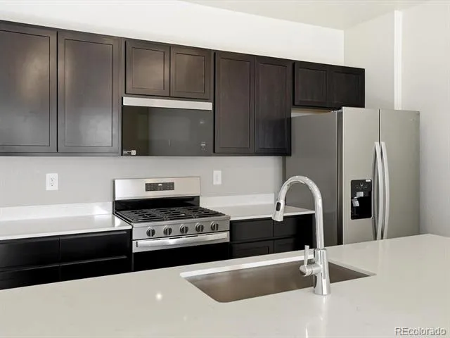 1596 Riverplace Drive #4 Windsor, CO 80550