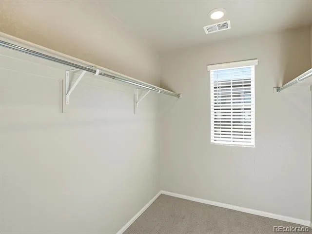 1596 Riverplace Drive #4 Windsor, CO 80550