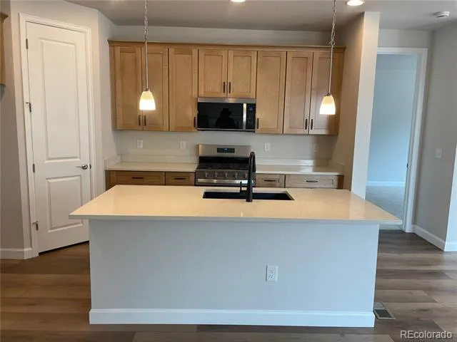 1993 Spencer Avenue Castle Rock, CO 80104