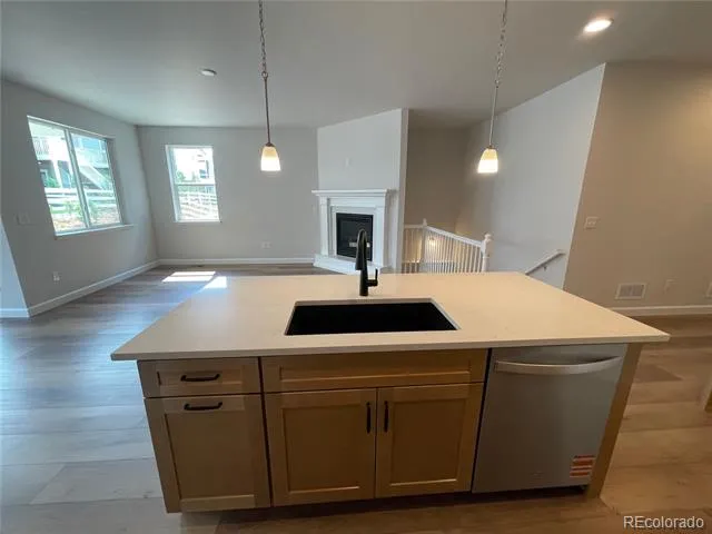 1993 Spencer Avenue Castle Rock, CO 80104