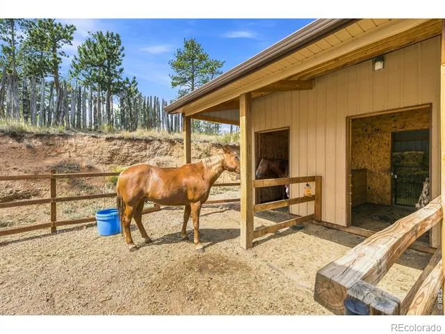 557 Red Bluff Road Livermore, CO 80536